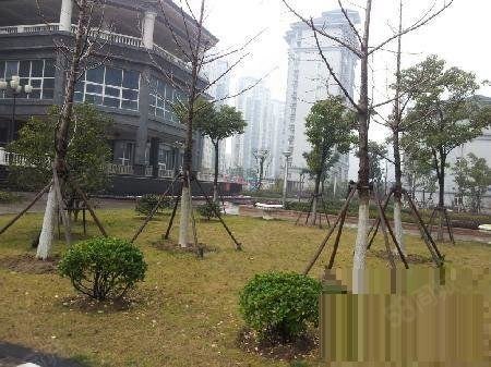 (出售) 《u房置业实拍》地铁二号线旁小区人车分离环境优美位置安静