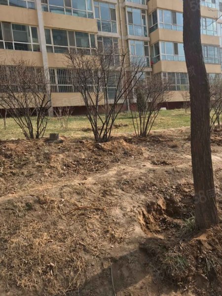 【金帝都市花园房价走势,金帝都市花园房屋出租,金帝都市花园二手房
