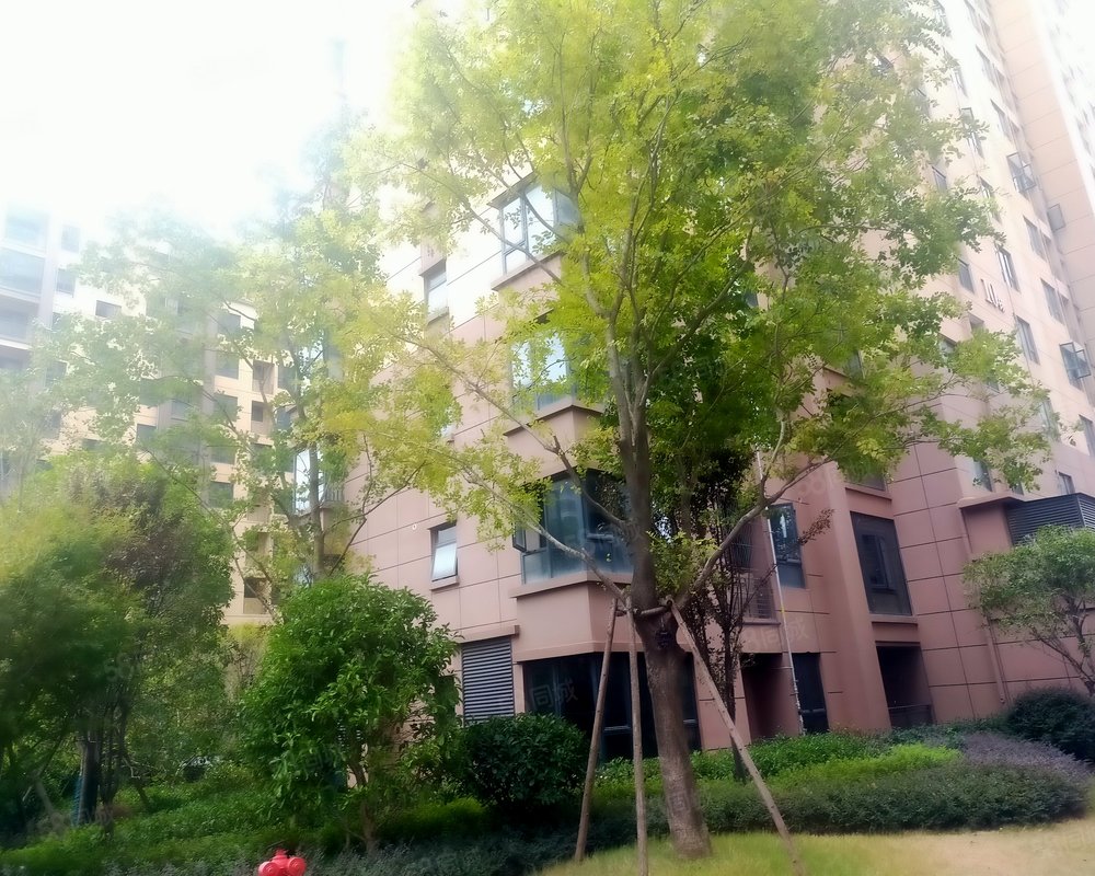 【世纪花城, 世纪花城小区详情,房价走势,房源,业主论坛】- 赣州58