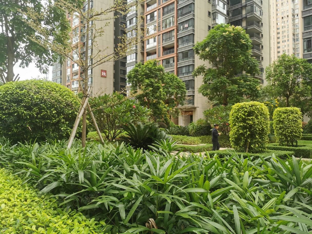 城建公园壹号4室2厅2卫118㎡南北65万