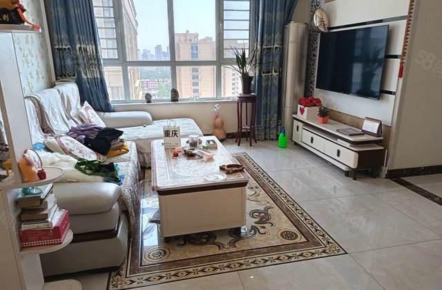 公园附近 中央帝景 中央丽都 边户非顶 带车位储藏室