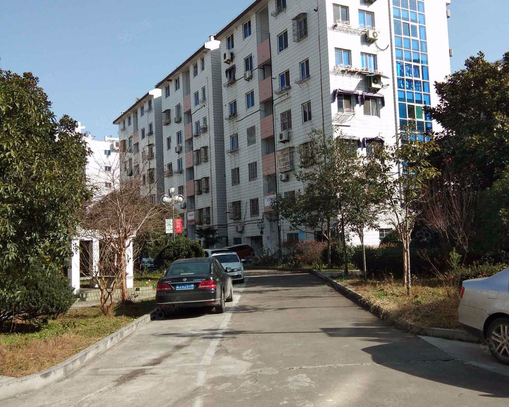桔洲新村 桔洲新村小区详情 房价走势 房源 业主论坛 台州58同城