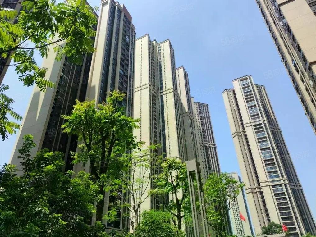 绿地璀璨天城一期