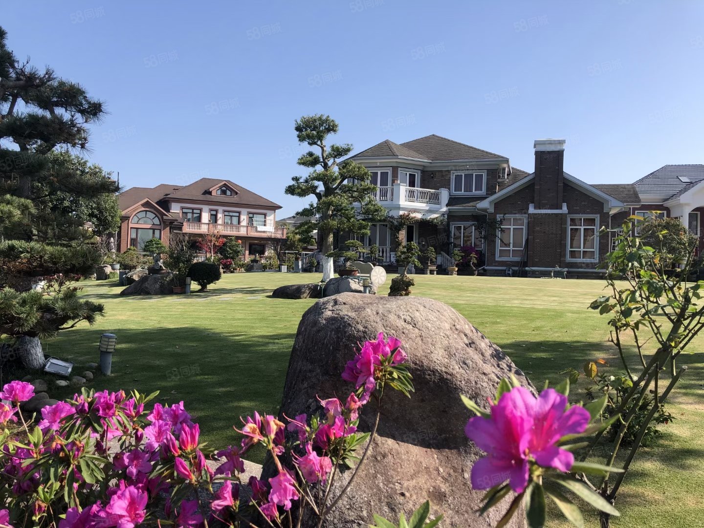 专做七都占地1100平3150万南花园岛中岛独体别墅