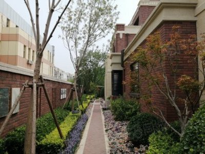 【金地艺墅家芸泽苑房价走势,金地艺墅家芸泽苑房屋出租,金地艺墅家