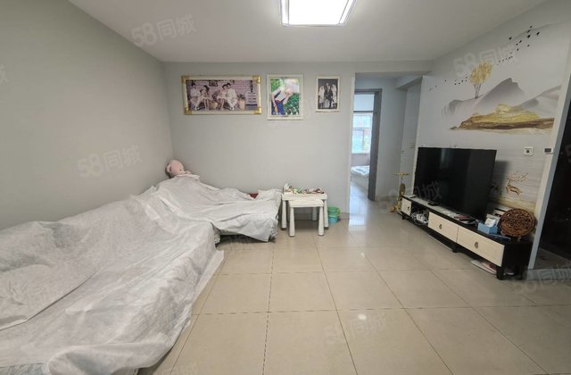 三楼 婚房 桐凤家园 南北通透 户型真棒 五中