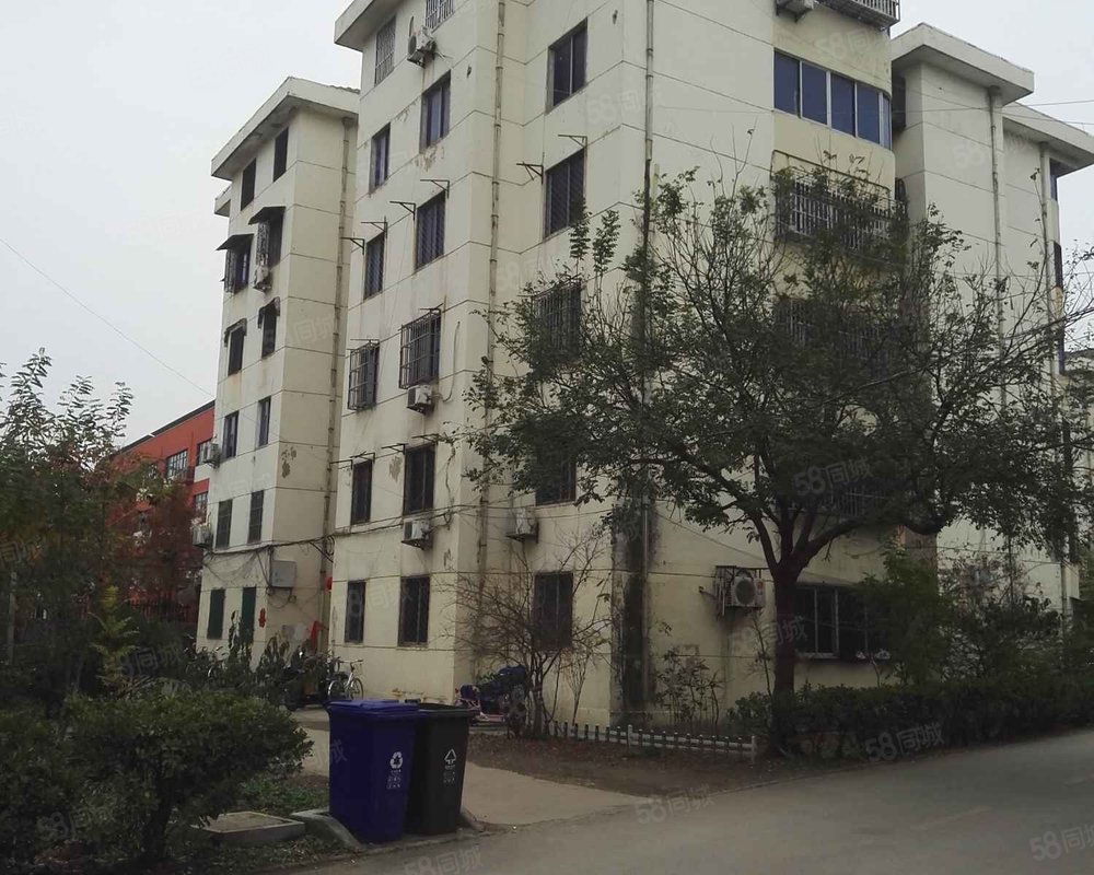 迎宾小区沛县绕城高速以外