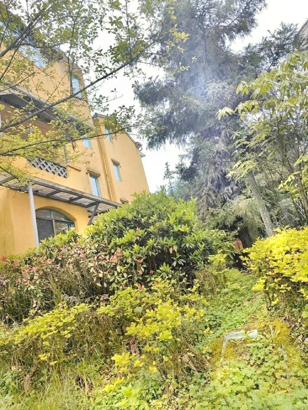 【10图】仙女山木里小镇精装拎包入住,木里小镇-重庆58同城