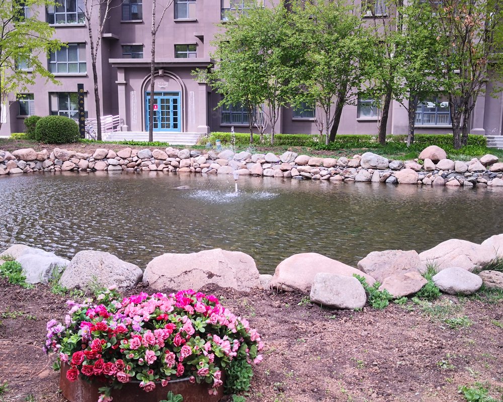 【凯旋城(五常), 凯旋城(五常)小区详情,房价走势,房源,业主论坛】