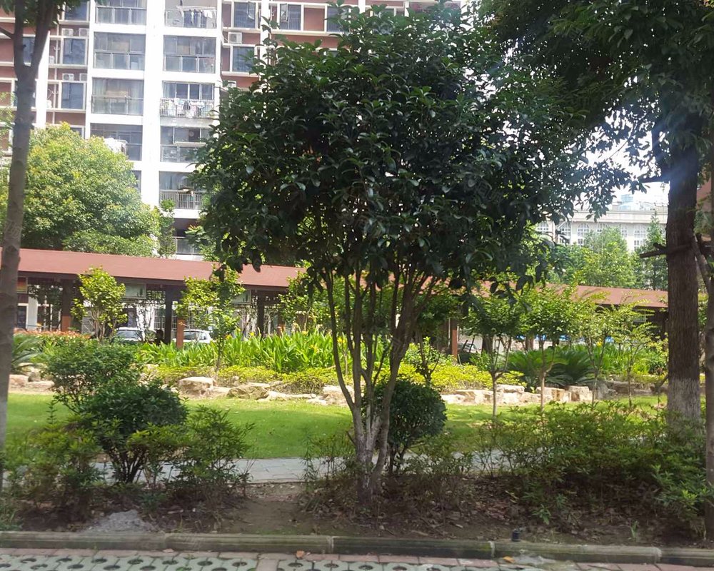 【盛景花园, 盛景花园小区详情,房价走势,房源,业主论坛】- 武汉58