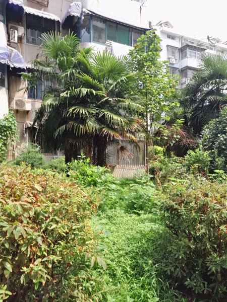 【罗兰德小区房价走势,罗兰德小区房屋出租,罗兰德小区二手房出售】