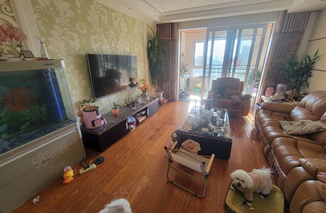 急售市中心东昌本部北临一品家苑中上楼层三室两卫送车位地下室