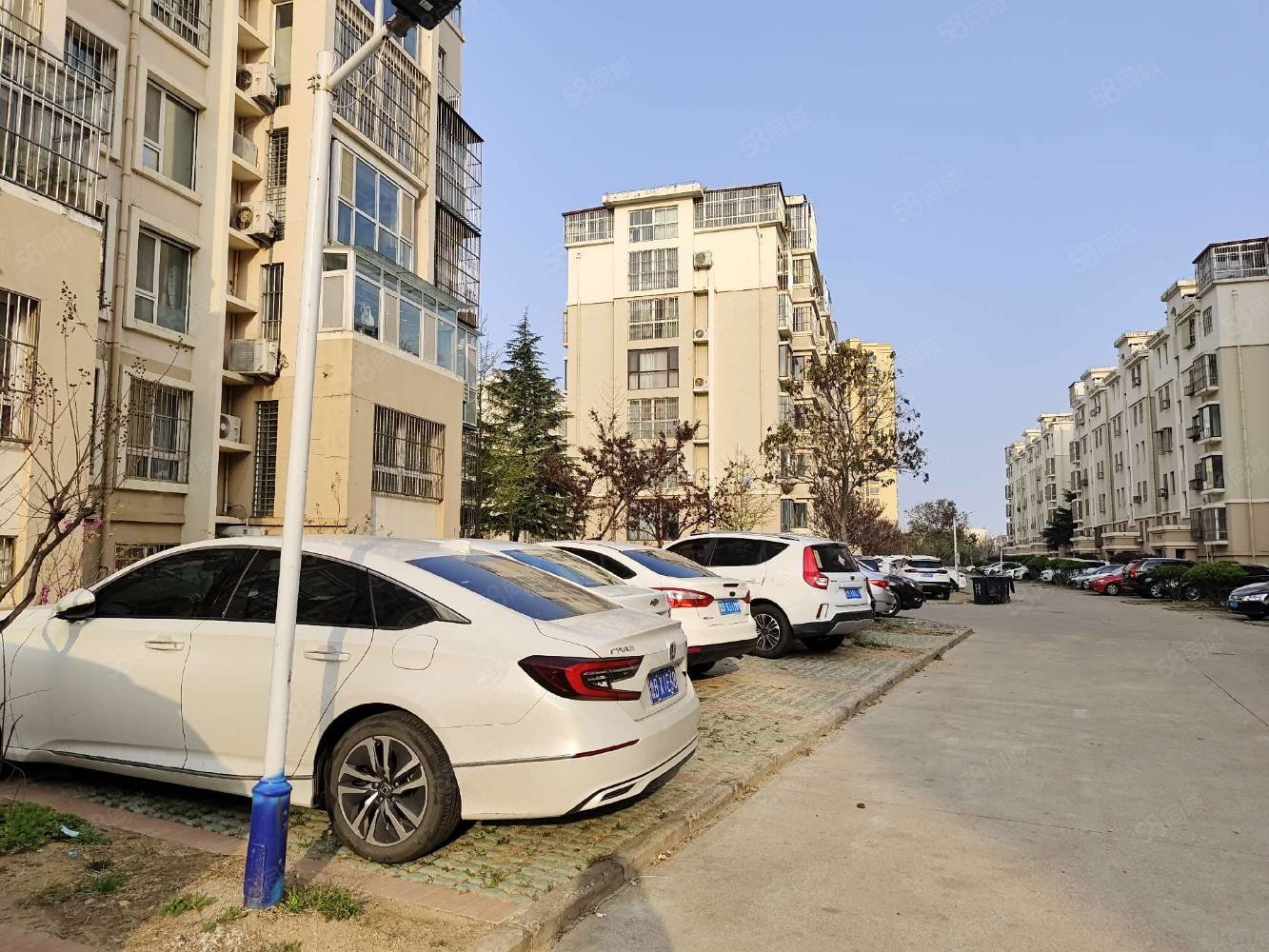 龙泽园3室2厅1卫97.18㎡南北103万