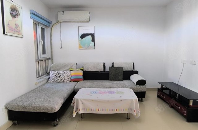 启明对面 锦绣香堤 电梯房  全明户型   好楼层