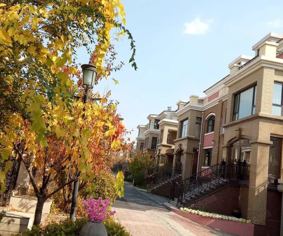 【中海国际社区(b区别墅), 中海国际社区(b区别墅)小区详情,房价走势