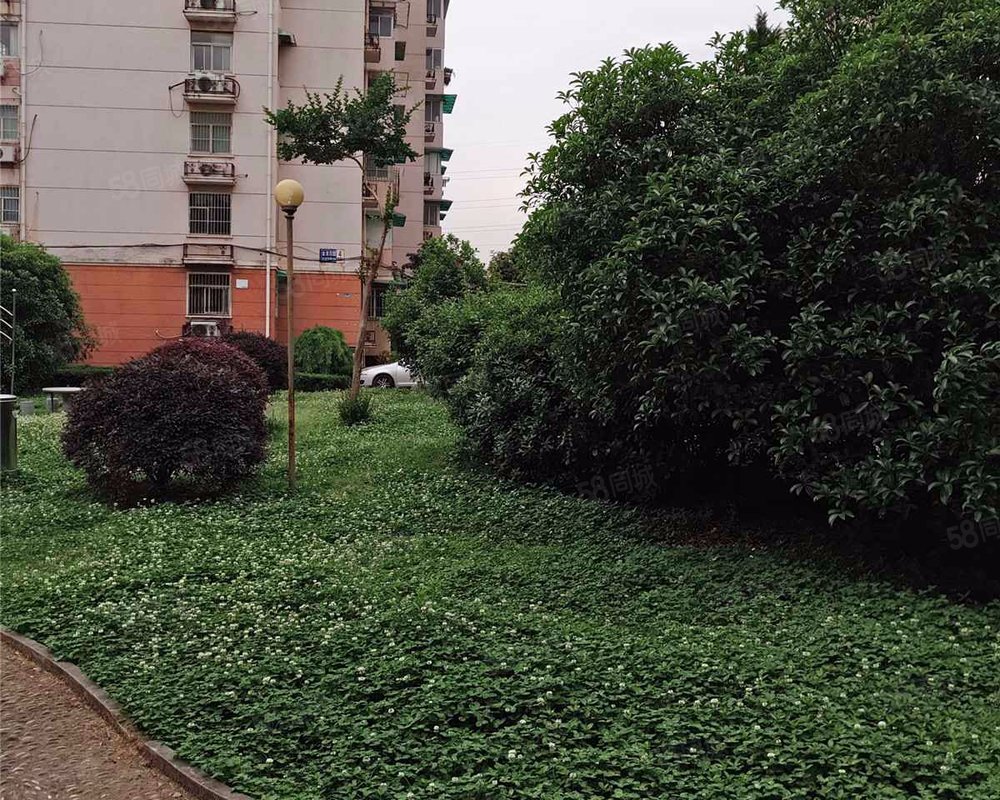 【金龙花园, 金龙花园小区详情,房价走势,房源,业主论坛】- 南京58