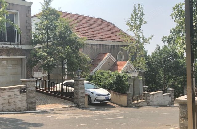 悦禧国际山庄(别墅)8室4厅313.5㎡356万二手房图片