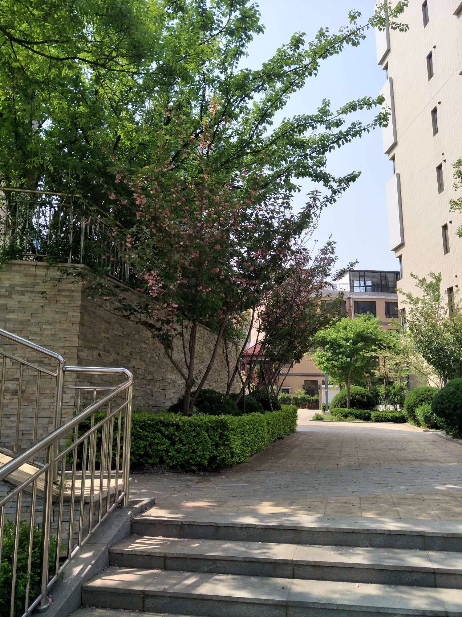 大华御庭二期 南北通厅 少有户型 双实验视野佳,大华御庭(二期)-大连