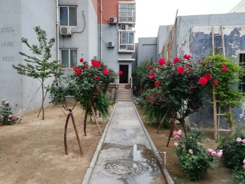 【佳合花园房价走势,佳合花园房屋出租,佳合花园二手房出售】- 菏泽58