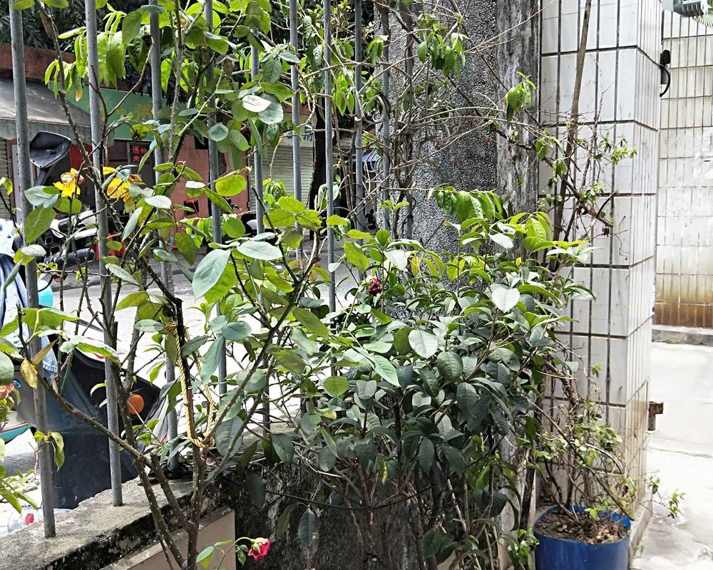 南铁(北二区)小区详情,房价走势,房源,业主论坛】- 南宁58同城