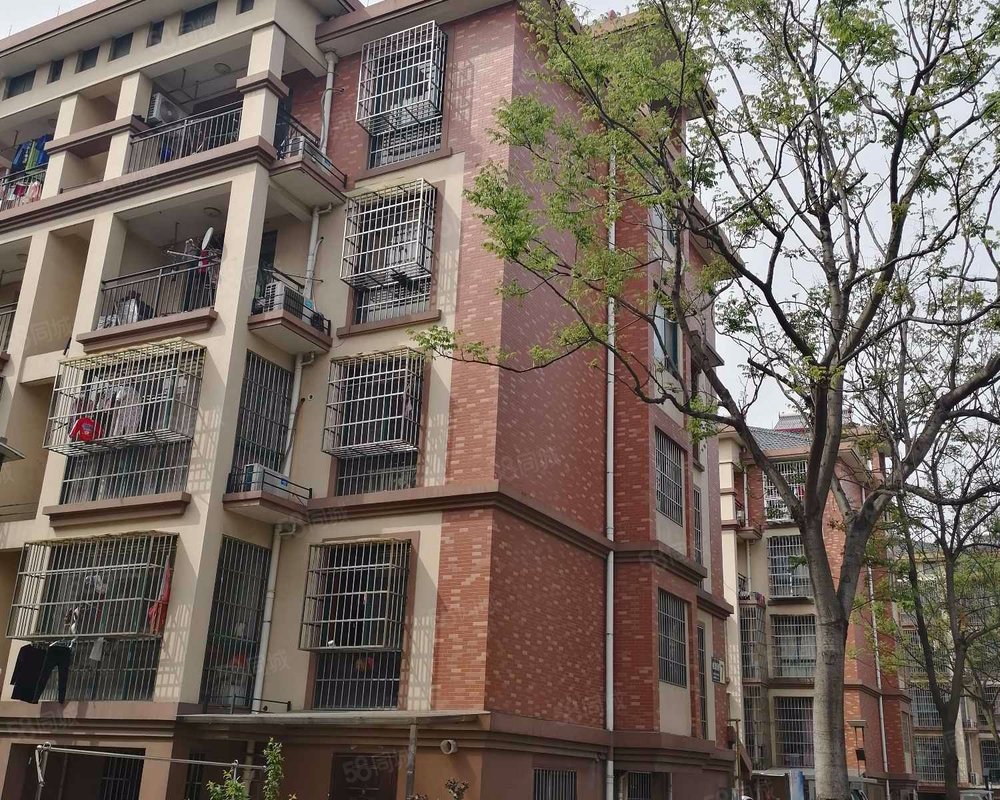 17%商圈区域嘉善姚庄镇详细地址洪福西路1