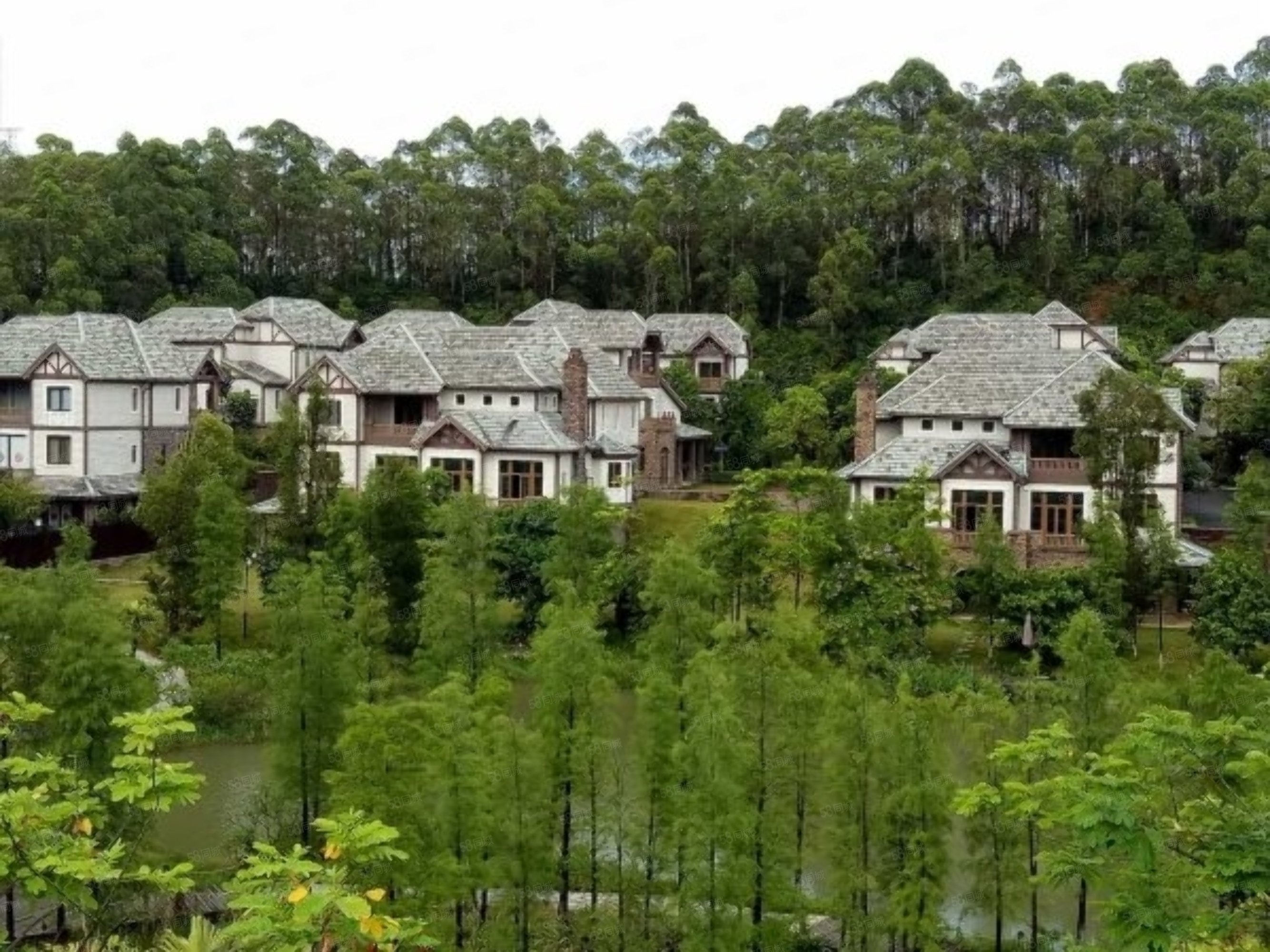 南沙奥园(别墅)14室5厅11卫1500㎡南4800万