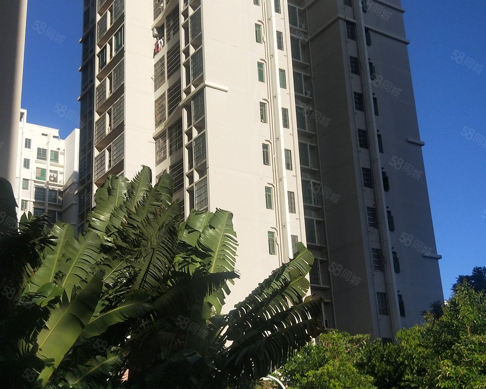 【南海花园, 南海花园小区详情,房价走势,房源,业主论坛】- 海口58