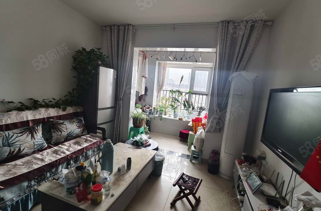 老文轩，外国语，东关国际西区，一室一厅，南北通透