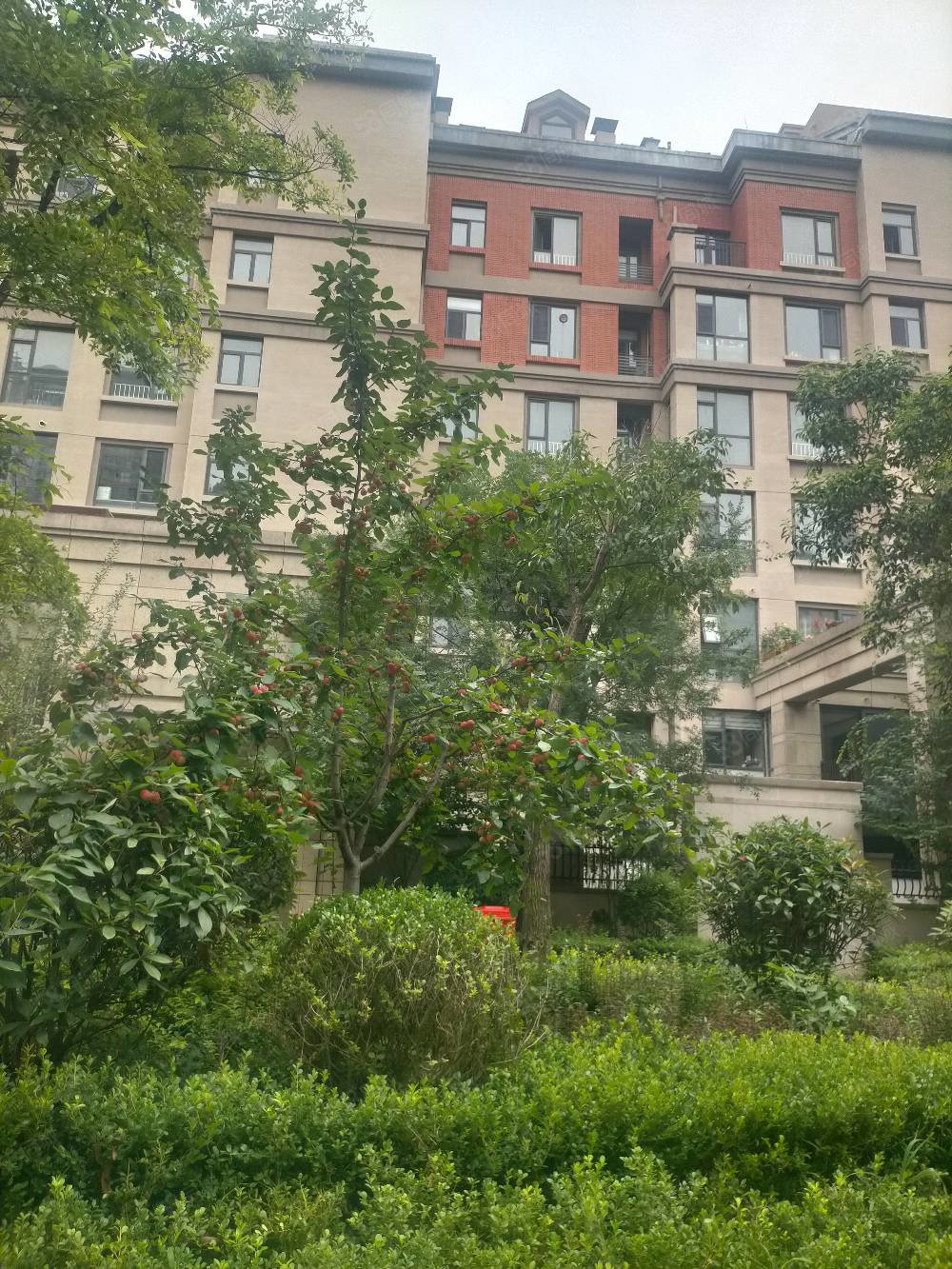 菲诺三室洋房 南北通透 好户型 好楼层 可贷款,圣兰菲诺-临沂58同城