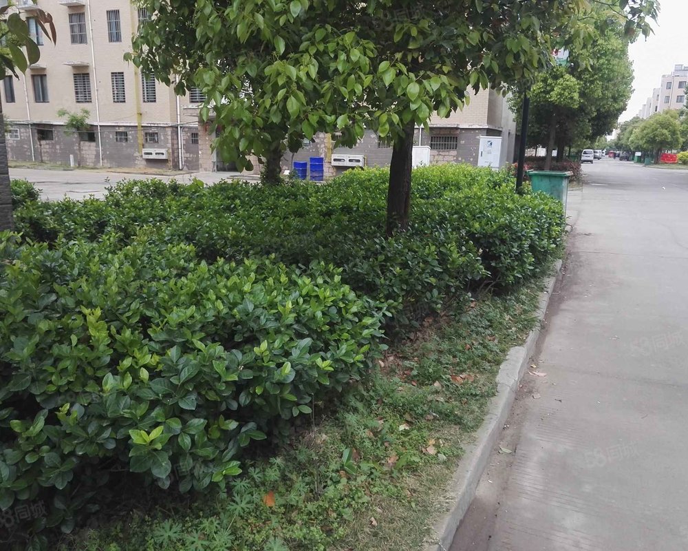 桃园小区沭阳