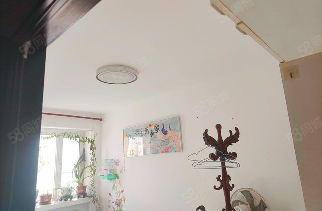 大成街小区(大成街9号,11号,十字街125号,127号)2室1厅71.65㎡45万二手房图片