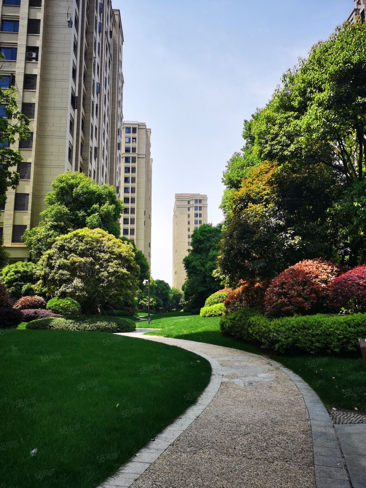 新力帝泊湾-南昌58同城