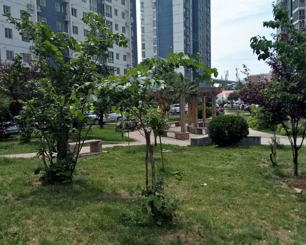 【聚龙花园, 聚龙花园小区详情,房价走势,房源,业主论坛】- 郑州58