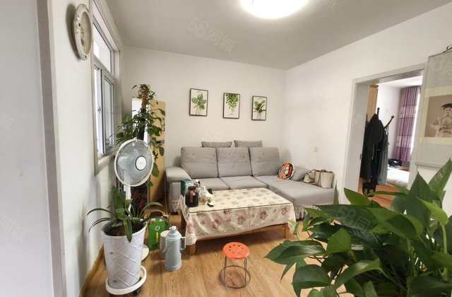 仅邻文轩本部 龙山北区 精装三室 免大税  看房方便