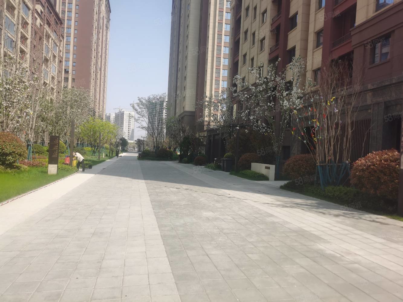 中央公园旁芙蓉湖cbd中南金玉堂4室2厅2卫电梯洋房现