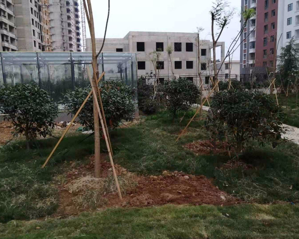 【费县清华园, 费县清华园小区详情,房价,房源,业论坛】- 临沂5