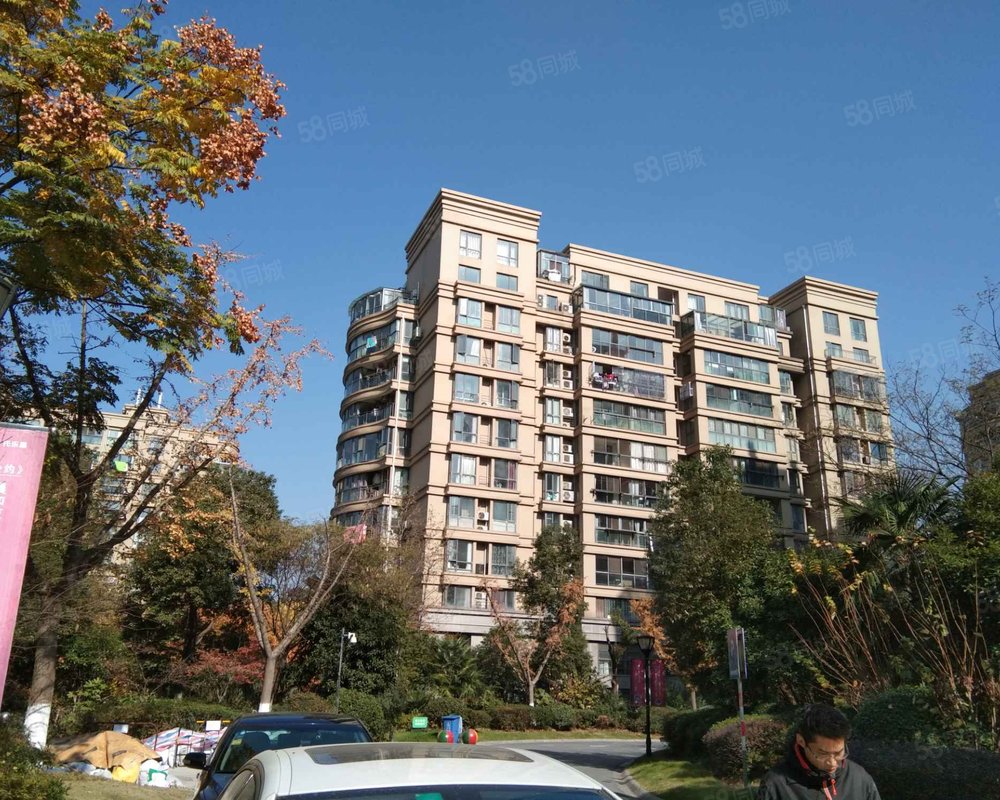 托乐嘉友邻居