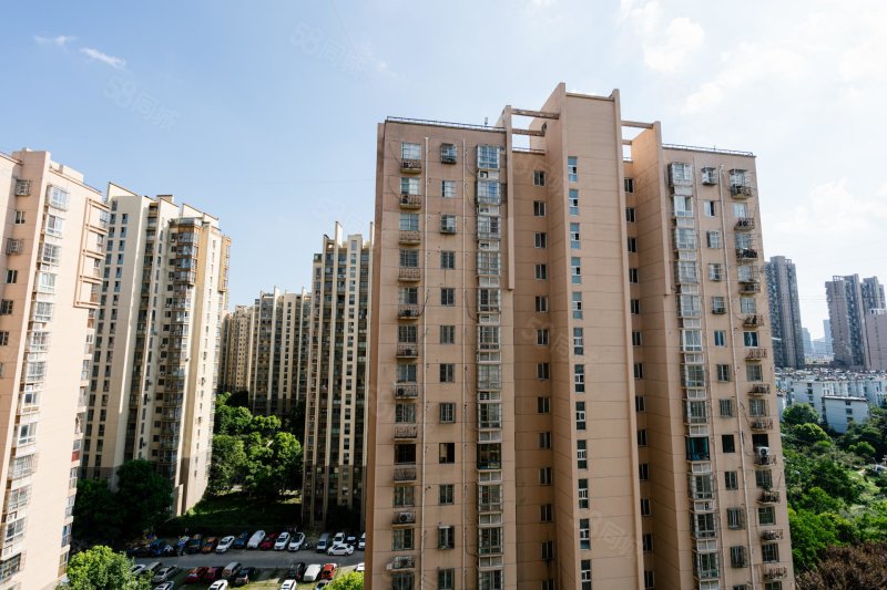 道一号2室1厅 户型正 看房随时 交通方便,公园道1号(北区)-合肥58同城