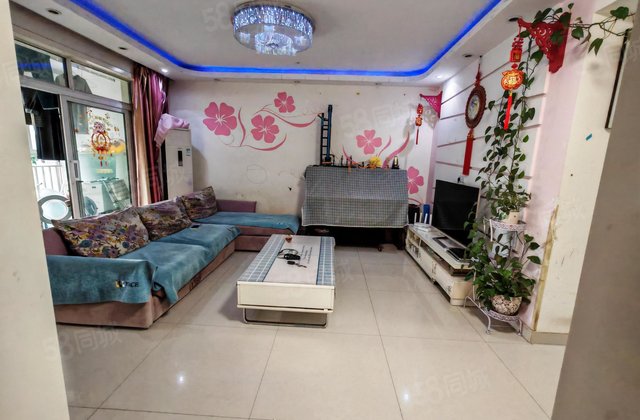 文轩房 精装电梯房 两室两室 南北通透 免大税 看房方便