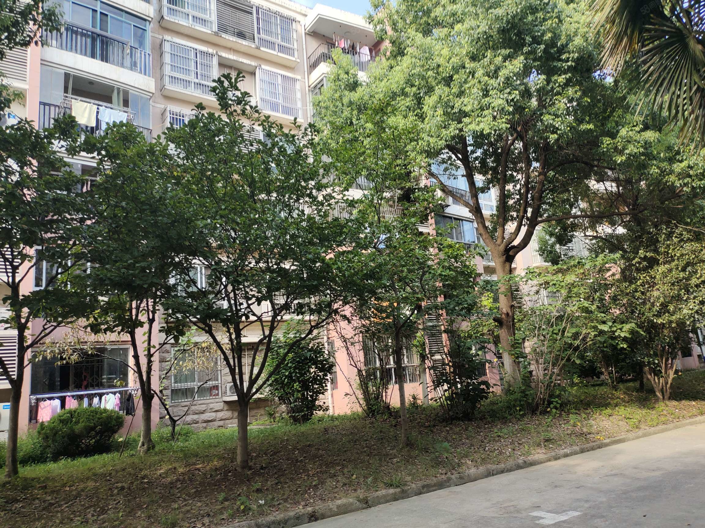 38平米 350.00万元,浅水湾-合肥58同城