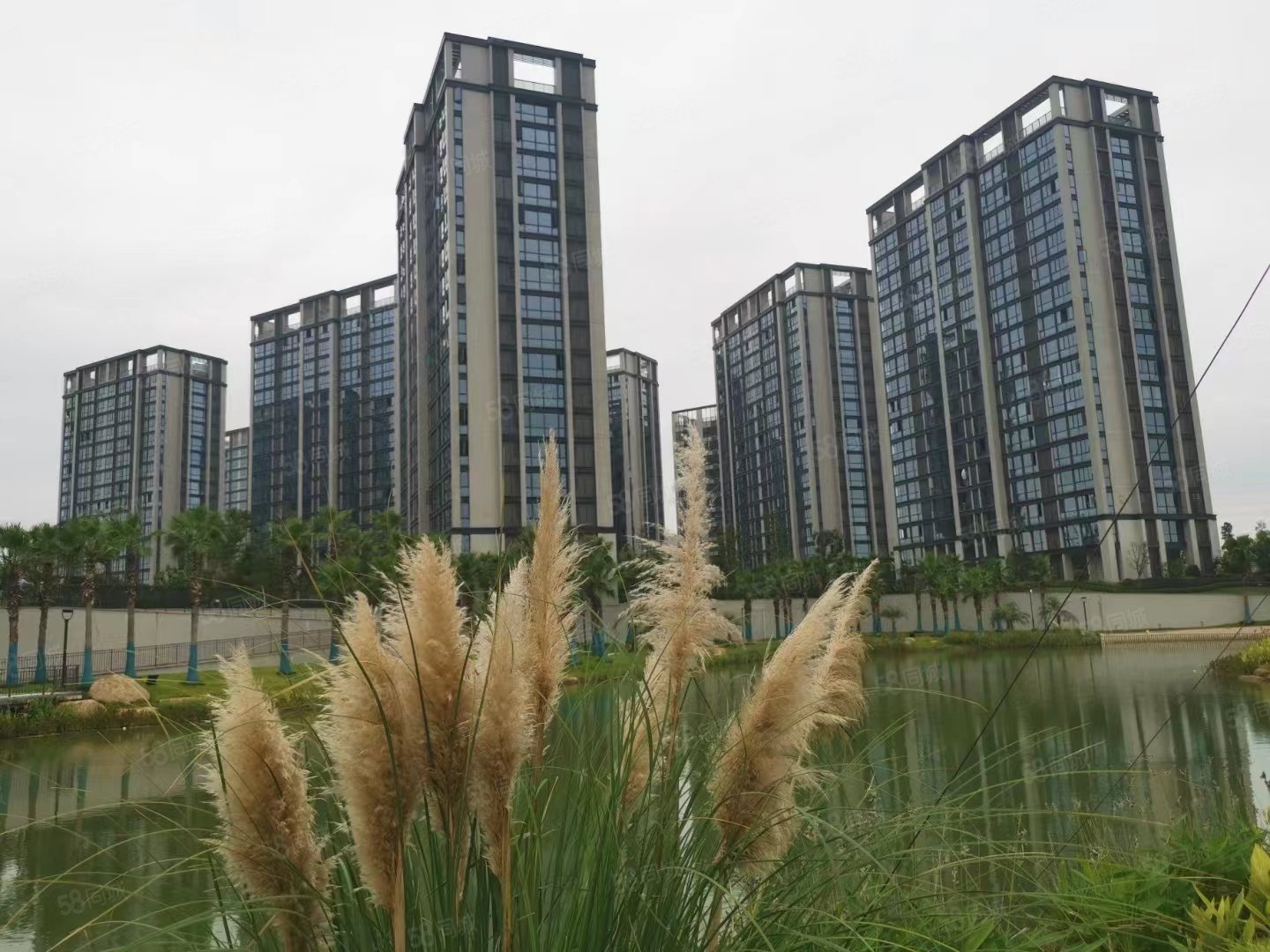 万固东方樾(商住楼)1室1厅1卫63㎡南北52万