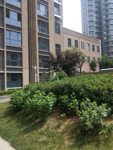 【永丰嘉苑房价走势,永丰嘉苑房屋出租,永丰嘉苑二手房出售】- 武安58