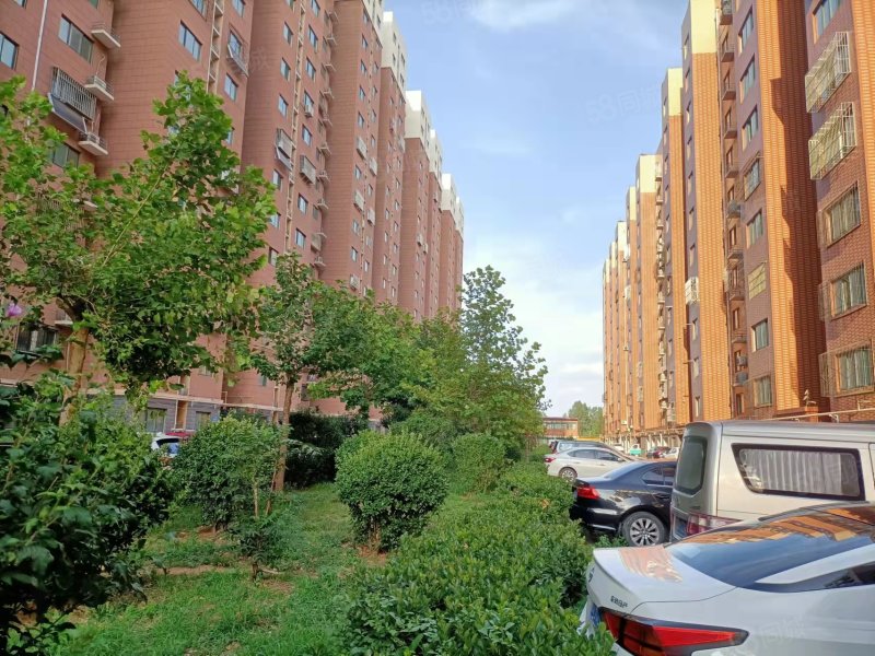 98平精装 带车位与地下室46万 南北通透,国泰鑫城-济南58同城