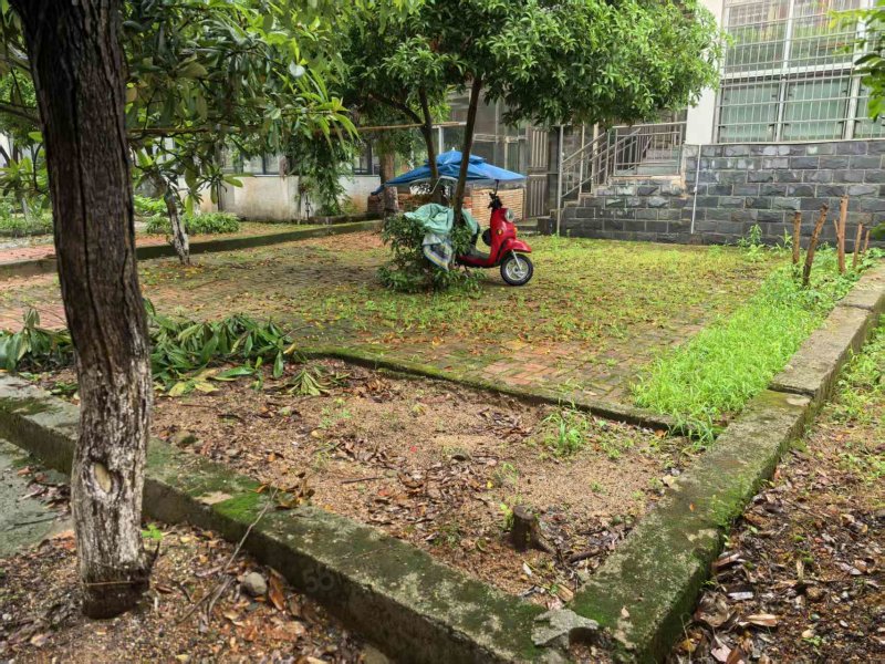 帝景豪庭3室2厅2卫149.6㎡南北65万