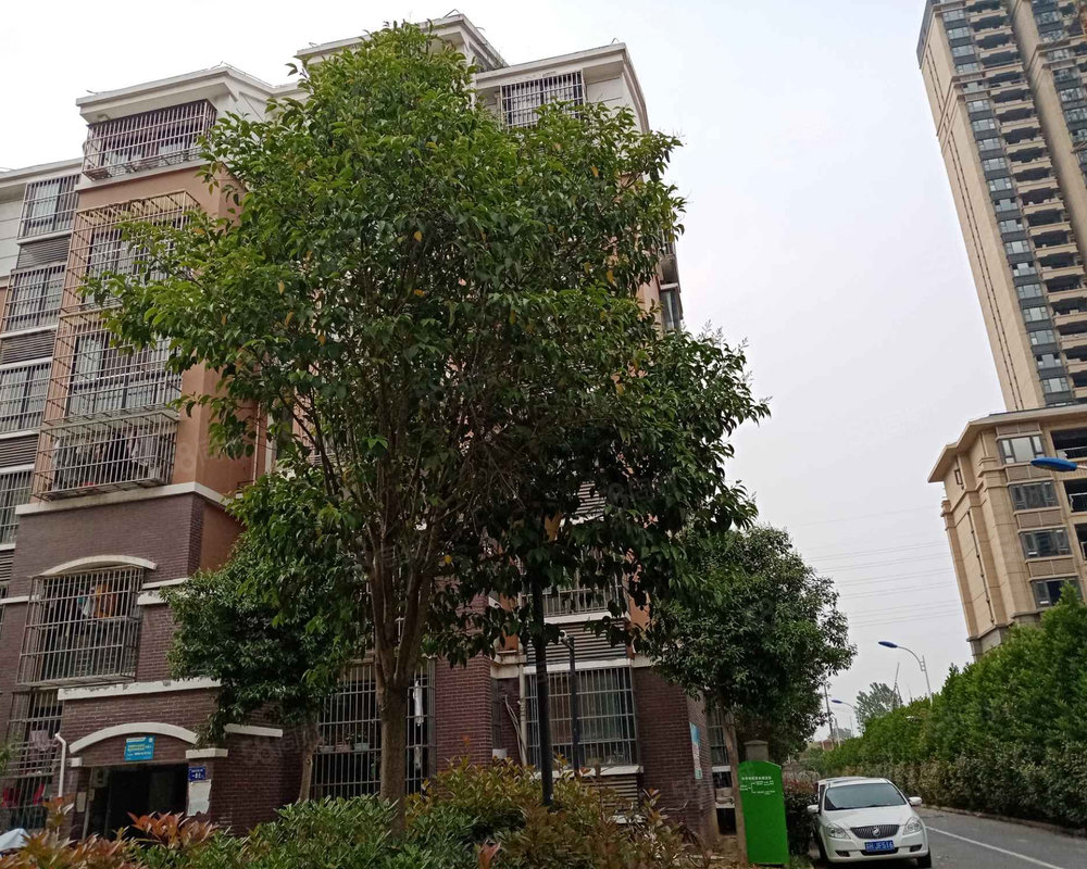 【浦南花园(东区 浦南花园(东区)小区详情,房价走势,房源,业主论坛