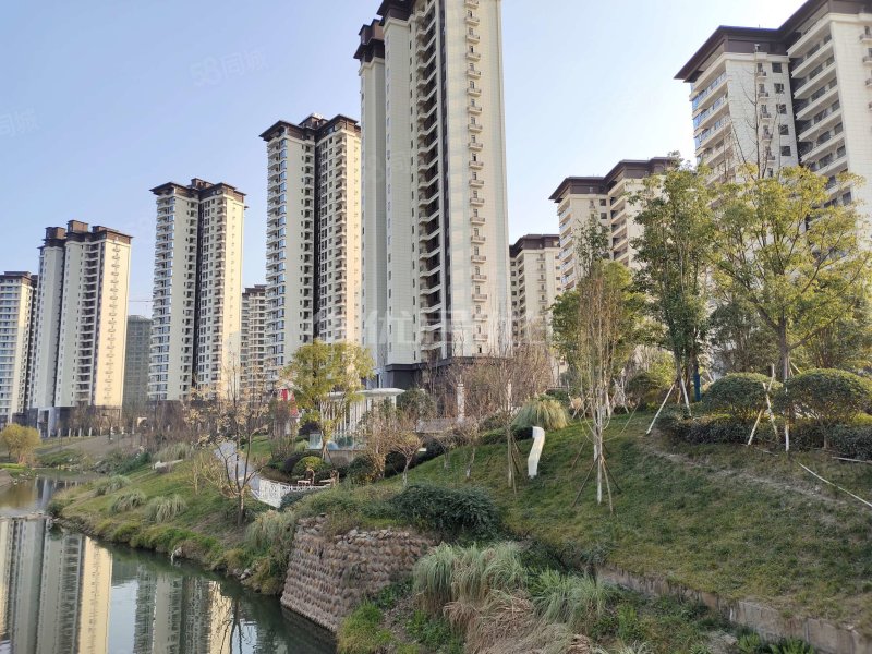 游仙区新盘置信丽都花园城单价8700