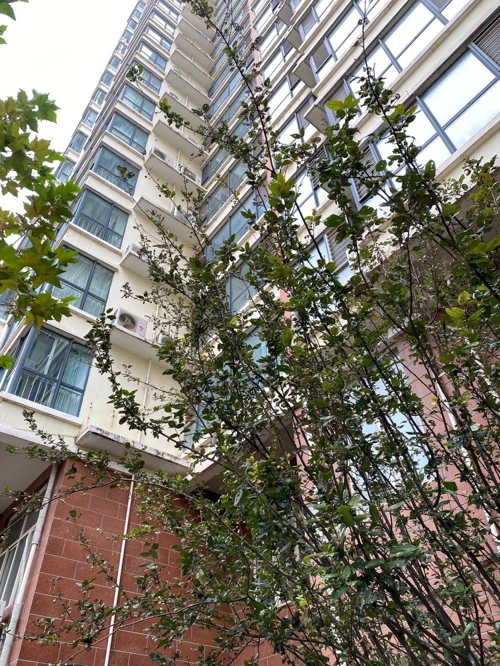 【10图】丽景名苑,2室2厅一卫,七中,新苑 ,丽景名苑-衡水58同城