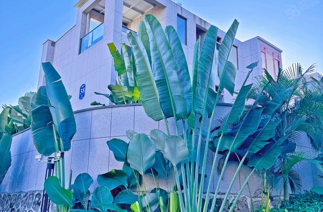 融创西双版纳国际旅游度假区(别墅)3室2厅250㎡88万二手房图片