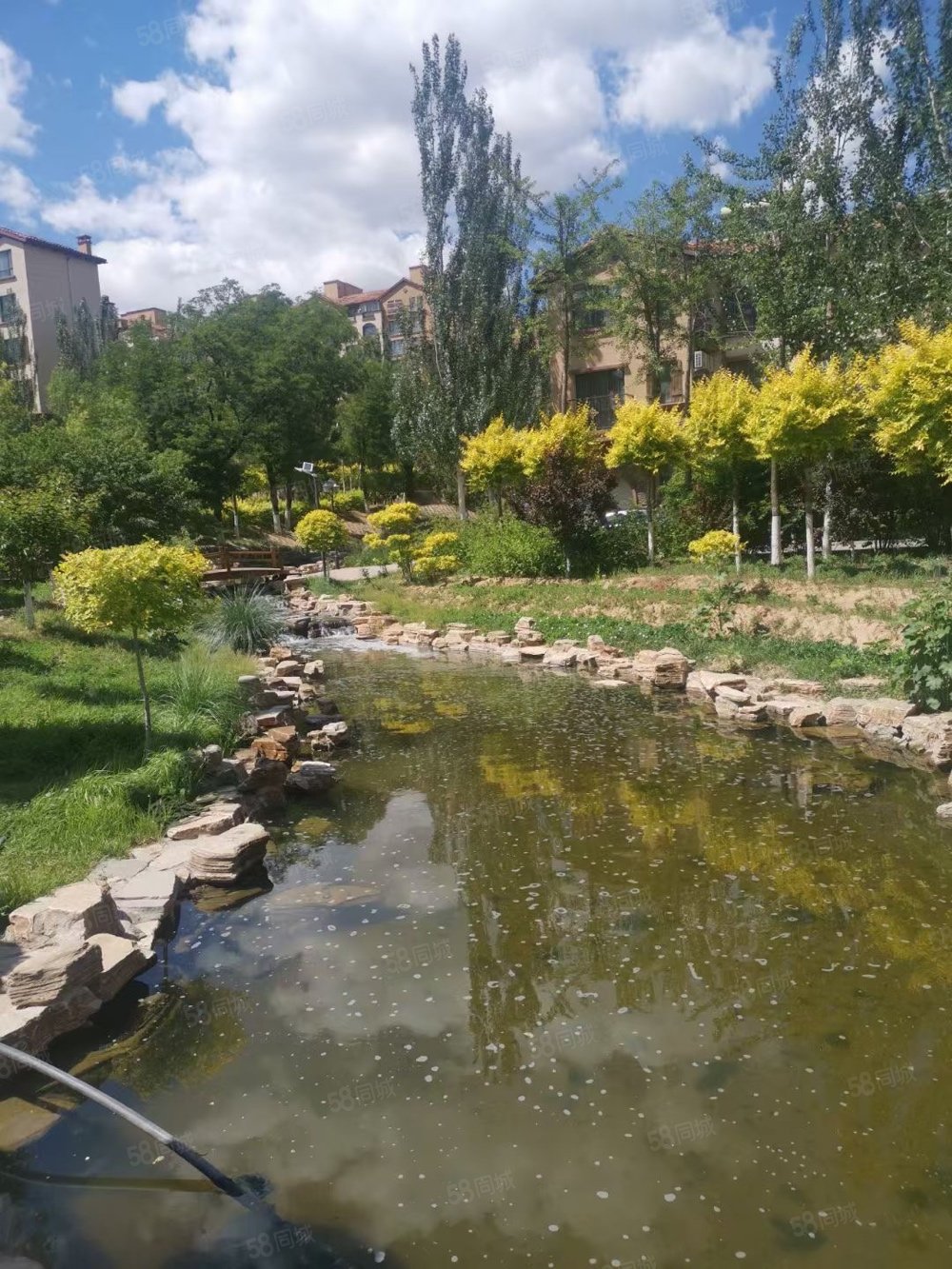 名爵滨河花园 精装联排现房 可装电梯 靠近小区水系公园