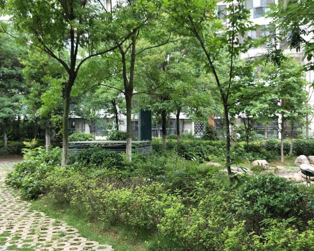 【森林海, 森林海小区详情,房价走势,房源,业主论坛】- 合肥58同城